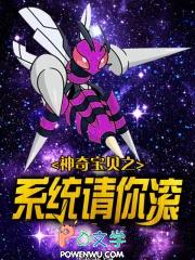 神奇宝贝之系统类完结