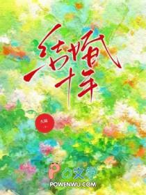 结婚十年电视剧演员表