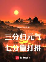 三分归元气最高境界