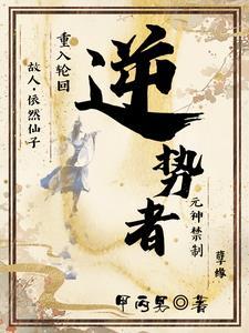 逆势者 彼得蒂尔传 夸克