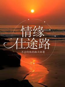 情缘仕途路章节