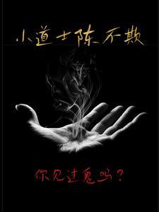 小道士陈不欺大结局