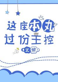 综这座本丸过分主控