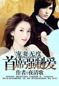 宠妻无度免费阅读版