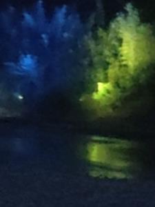 无敌剑尊全文免费阅读