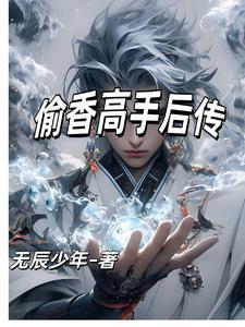 偷香高手后传(无辰少年)
