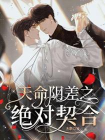 天命阴差之绝对契合主角攻受是谁