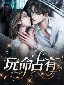 玩命占有作者何吾安