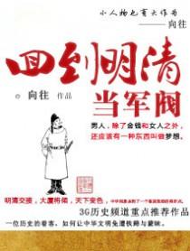 回到明清当军阀阅读