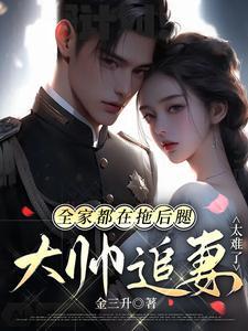 大帅追妻太难了免费阅读