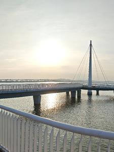 柯南之我真的不想躺赢