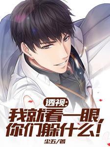 透视赌石捡漏亿点点八零电子书