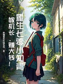 重生七零嫁知青目录