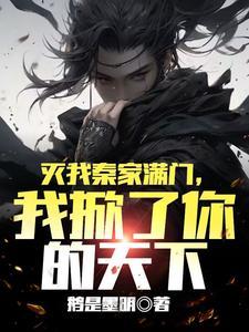 我掀了你的天下求书