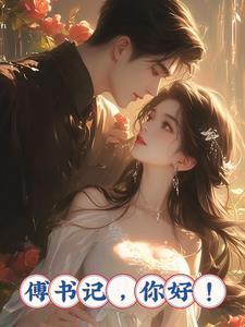 你好傅先生免费阅读全文沈繁星简介