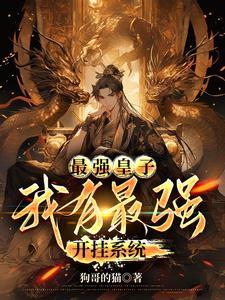 最强皇子的暗跃轻