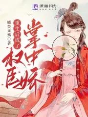 重生后成了权臣掌中娇暖笑