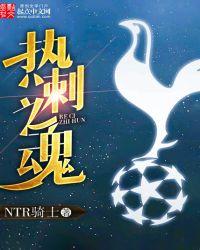 热刺球员版球衣