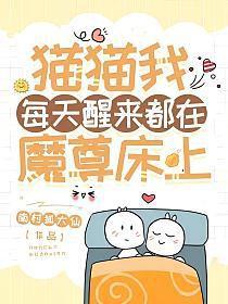 猫猫我每天醒来都在魔尊床上在哪看