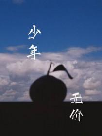 少年无fire