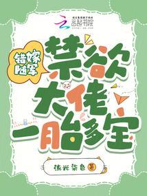 错嫁惊婚免费阅读全文