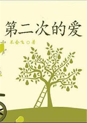 第二次的爱歌词