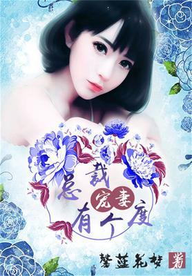 总裁宠妻有瘾免费阅读全文最新