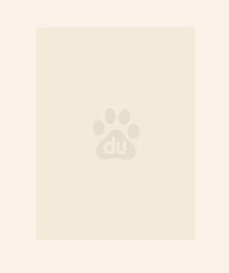 绝世炼丹师漫画免费阅读