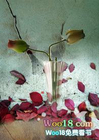 养父的花样年华片尾曲