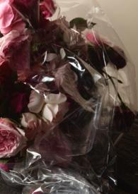 束缚游戏动漫免费观看完整版在线全集