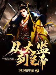 男主角龙辰太监