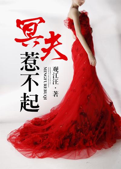 冥夫惹不起陆亦寒是谁