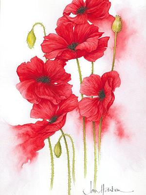 快穿主神的千层套路txt