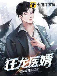 狂龙医婿苏晨免费阅读