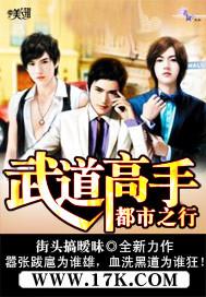 武道高手都市之行TⅩT