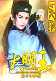 大明王朝免费阅读全文