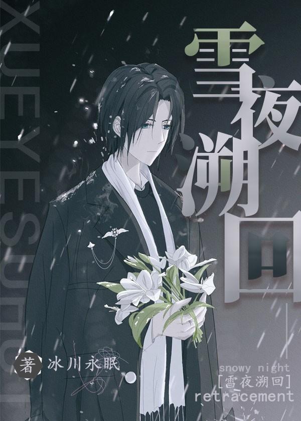 原神雪夜溯回113