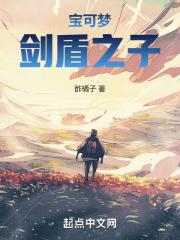 宝可梦：剑盾之子