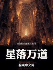 星落万道