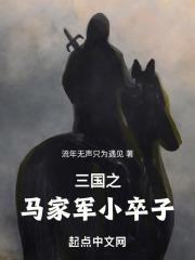 三国之马家小卒子