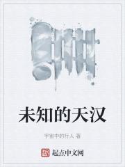 未知的天汉