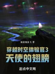 穿越时空体验官3天使的翅膀