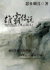 雄霸传说 完